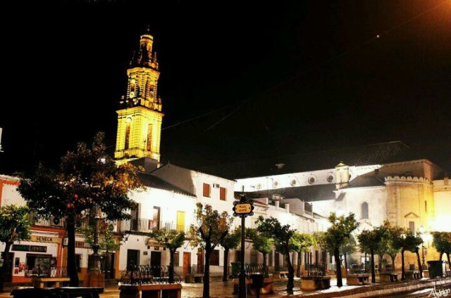 Torre desde Plaza (2)